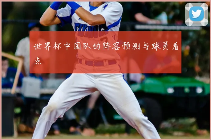世界杯中国队的阵容预测与球员看点