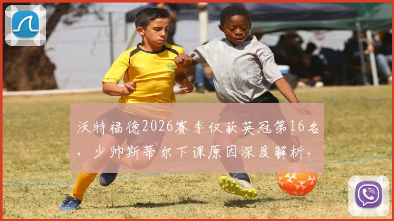 沃特福德2026赛季仅获英冠第16名,少帅斯蒂尔下课原因深度解析,新帅人选传闻一览